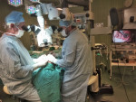 Lkai ve FN u sv. Anny v Brn provedli uniktn operaci 